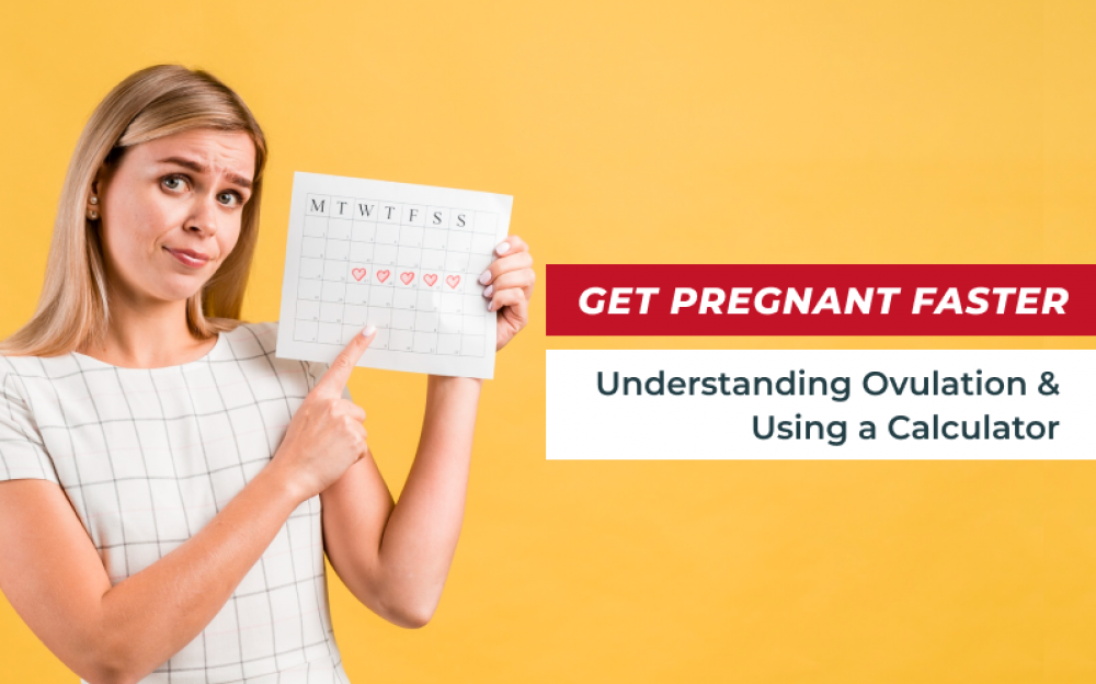 Get Pregnant Faster: Understanding Ovulation and Using a Calculator