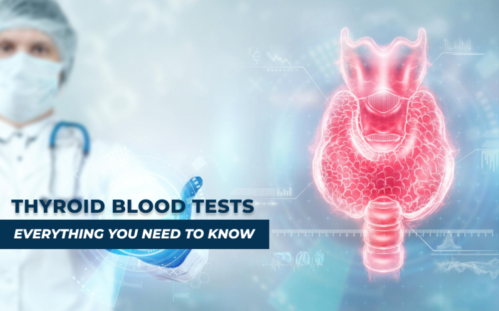 Thyroid Blood Tests: Everything You Need to Know